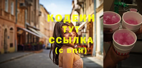 индика Нязепетровск