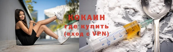 индика Нязепетровск