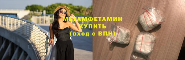 прущие грибы Осинники