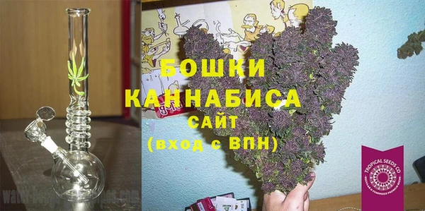 индика Нязепетровск
