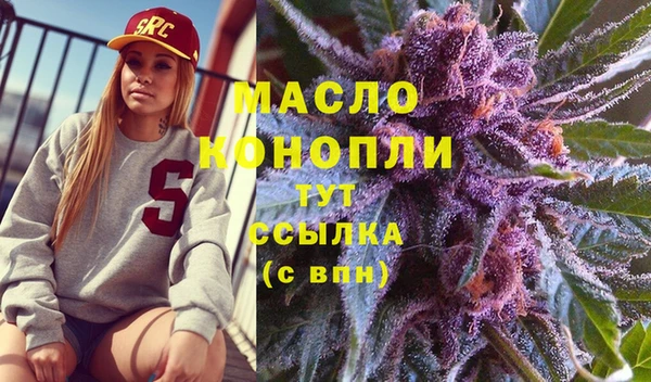 индика Нязепетровск