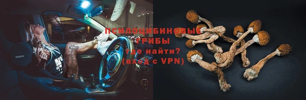 таблы Няндома