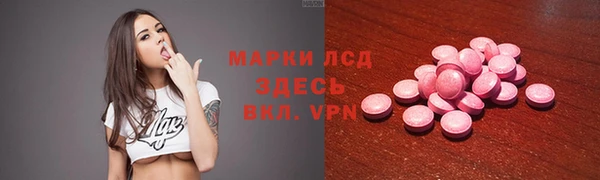 индика Нязепетровск