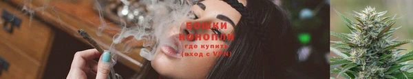 индика Нязепетровск