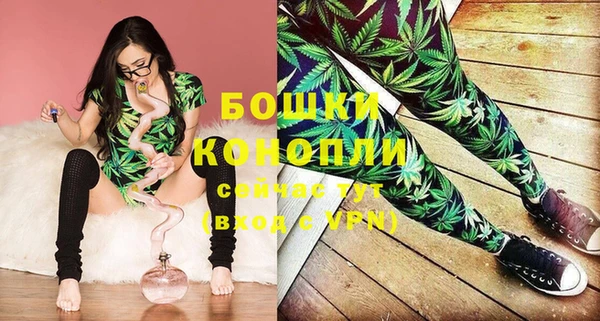 индика Нязепетровск