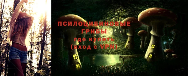 таблы Няндома