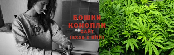 индика Нязепетровск