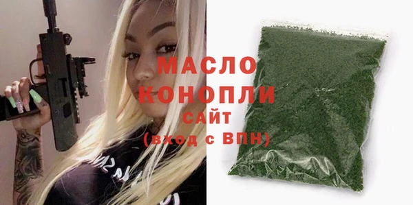 индика Нязепетровск